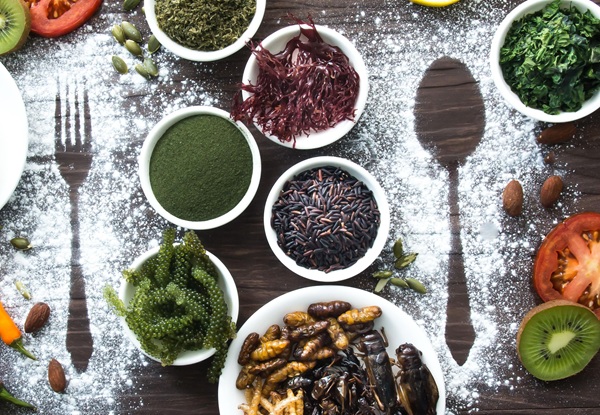 Ingredinten toekomst novel food
